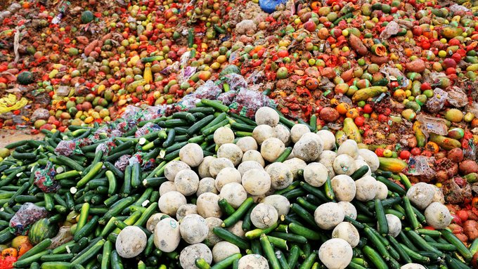 EL 40 % DE LOS ALIMENTOS QUE SE PRODUCEN, EN EL MUNDO, VAN A LA BASURA