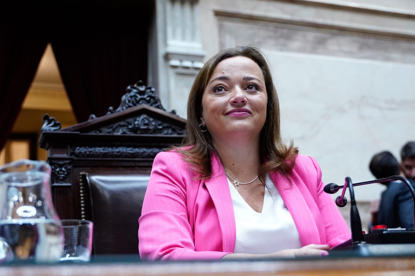 CECILIA MOREAU: “LA CORTE ESTÁ EMPUJANDO A LA DEMOCRACIA A UN ABISMO”