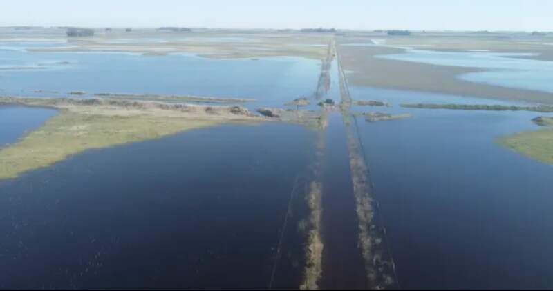 KEVIN SHANLY: “EL 80% DE LA SUPERFICIE ESTÁ BAJO AGUA”