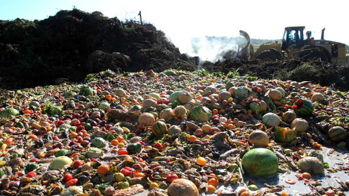 DÍA INTERNACIONAL DE CONCIENCIACIÓN SOBRE LA PÉRDIDA Y EL DESPERDICIO DE ALIMENTOS