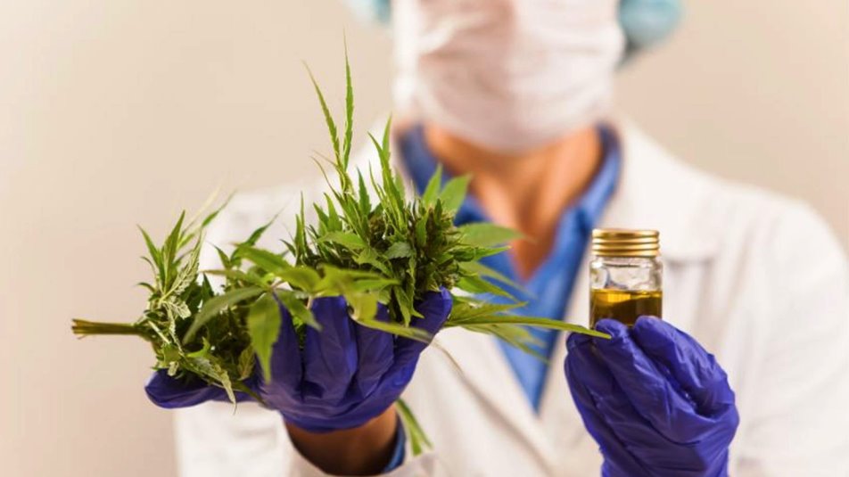 PRESENTAN EL CANNABIS COMO ALTERNATIVA AL USO DE NUEVAS PRODUCCIONES DE
BIENES Y SERVICIOS