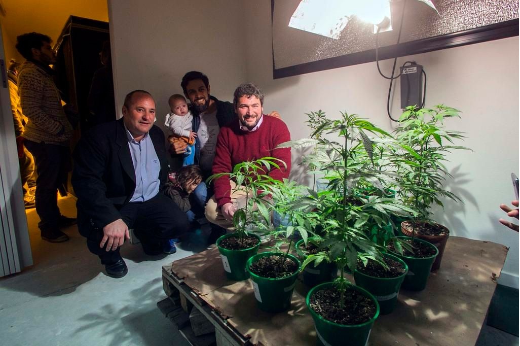 INTENDENTE DE LA MADRID “CADA VEZ ESTAMOS MÁS CERCA DE PODER PLANTAR CANNABIS MEDICINAL”