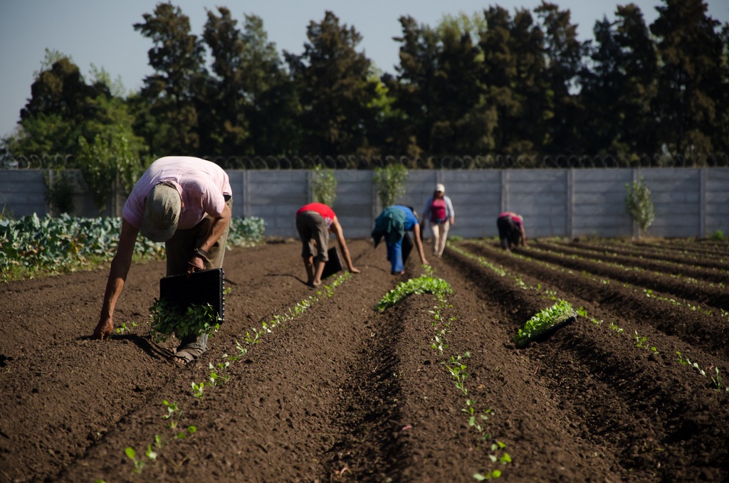 LA LEY DE AGRICULTURA FAMILIAR ESPERA SU REGLAMENTACIÓN