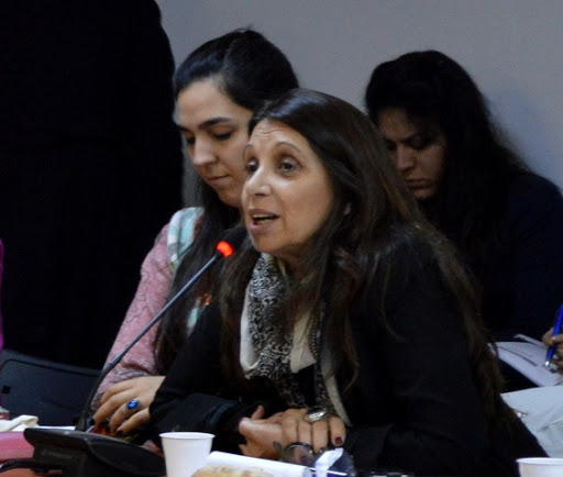 PRESENTARON EL INFORME "CARTOGRAFÍAS ARGUMENTATIVAS"