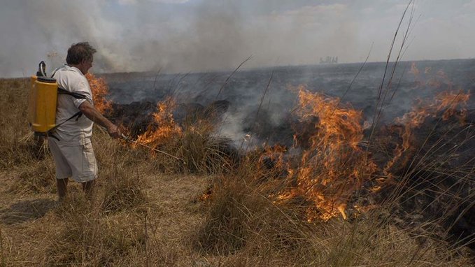 MARTÍN KOWALEWSKI: “LO QUE PRODUCE LOS INCENDIOS ES LA MATRIZ PRODUCTIVA”