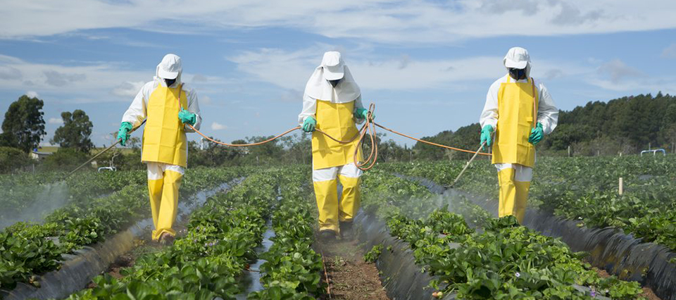 LA PROVINCIA IMPLEMENTA UN SISTEMA PARA CONTROLAR EL USO DE AGROQUÍMICOS