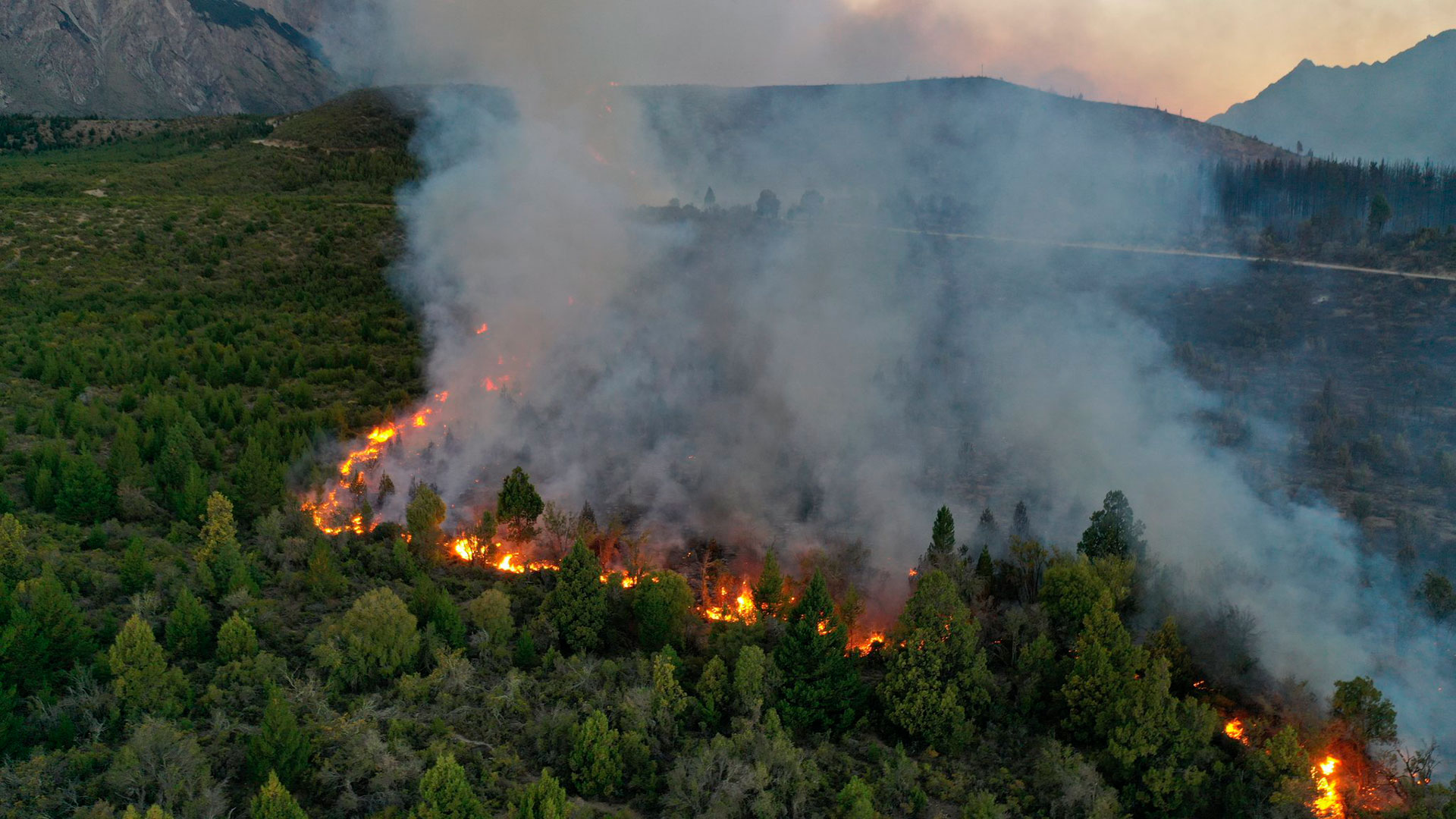 INCENDIOS EN RÍO NEGRO: LA LLUVIA Y EL DESCENSO DE LAS TEMPERATURAS LE DAN UN RESPIRO A LA REGIÓN
